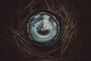 camera lens in a twig nest